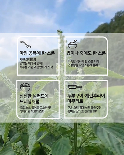 농부플러스 국산 냉압착 생들기름 저온착유 들기름 참기름 180ml 200ml