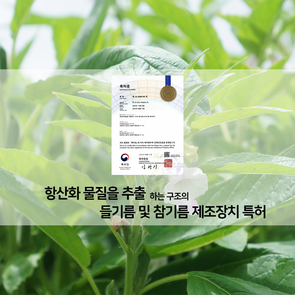 농부플러스 국산 냉압착 생들기름 저온착유 들기름 참기름 180ml 200ml