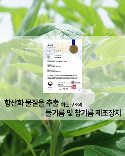 농부플러스 국산 냉압착 생들기름 저온착유 들기름 참기름 180ml 200ml