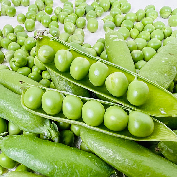 국산 껍질 그대로 햇 완두콩 500g 1kg 2kg 4kg 대표이미지 섬네일