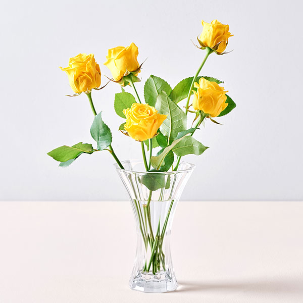노랑 장미(5송이)