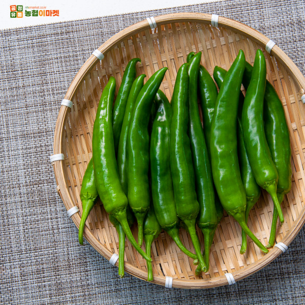 아삭아삭 국산 오이고추 특 1kg/2kg/4kg