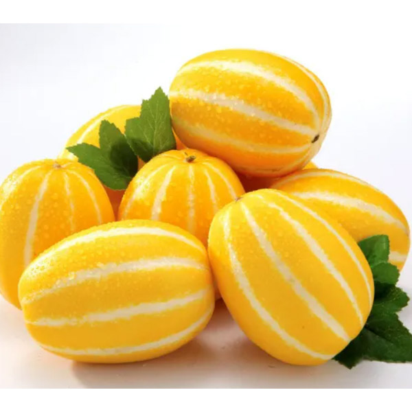 아삭달콤 꿀참외 벽진성주참외 10kg (31-50과내)