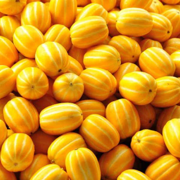 아삭달콤 꿀참외 벽진성주참외 10kg (31-50과내)