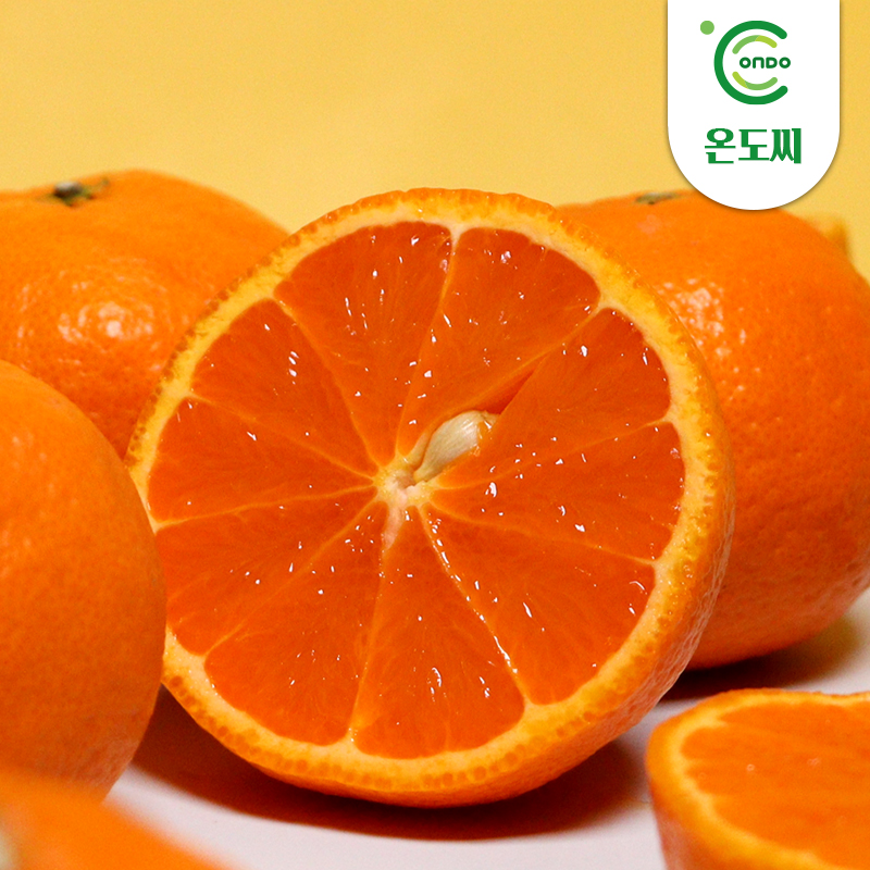 [온도씨]달콤한 제주 카라향(2kg/2.5kg/4.5kg)