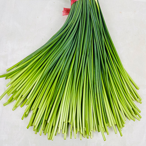 국산 해풍맞고 자란 햇 마늘쫑 특품 2kg 1kg 500g