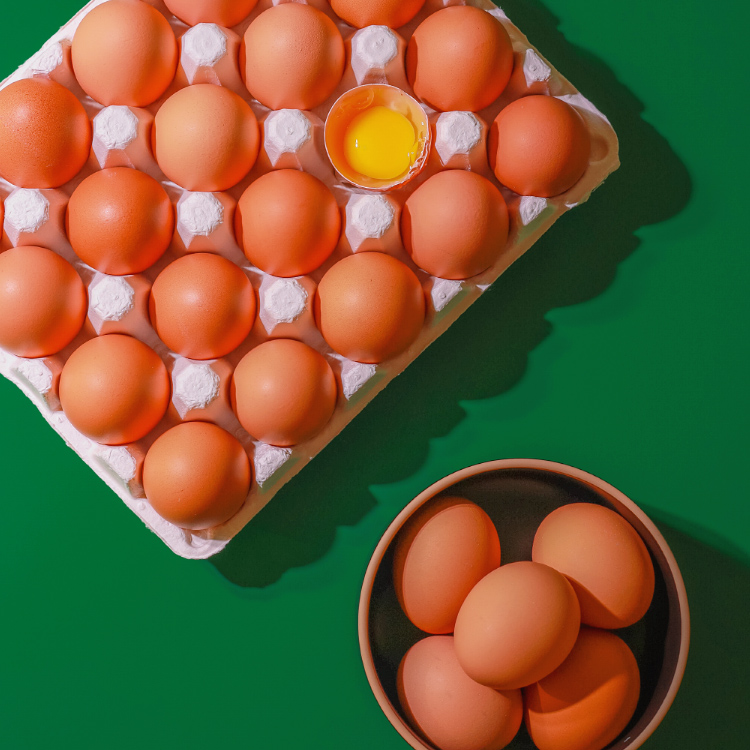 난각번호 1번란 동물복지 방사 유정란 20구 계란 생란