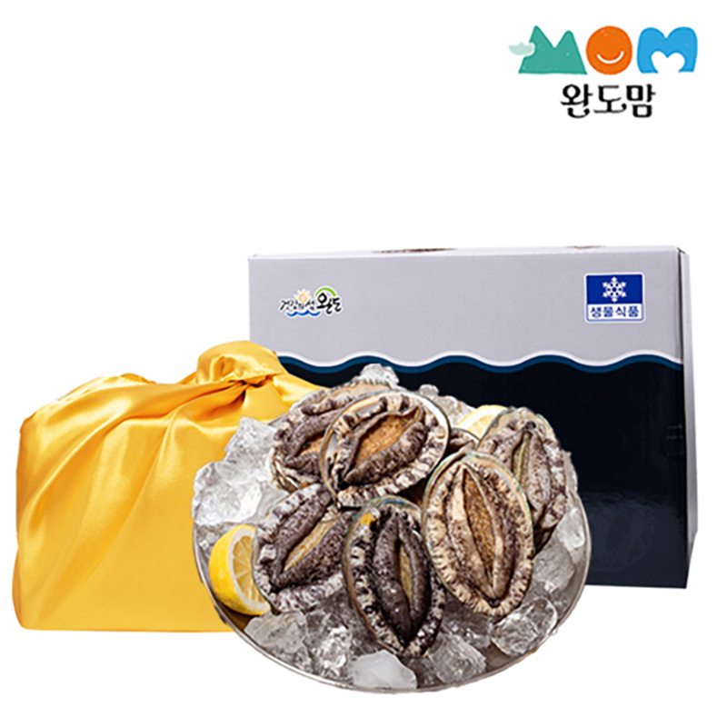 완도 활 전복 1kg 13-15미 중전복 특대전복+ 세척솔증정 / VIP선물용