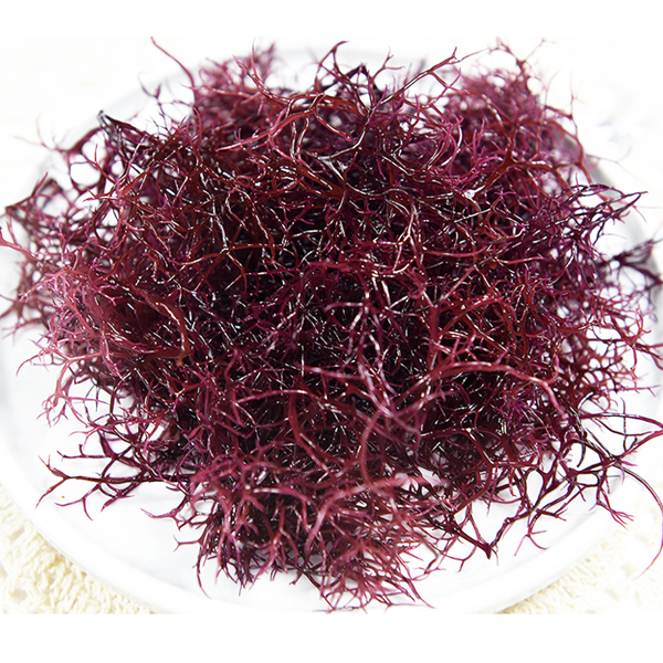 완도맘 자연산 해초 세모가사리 100g