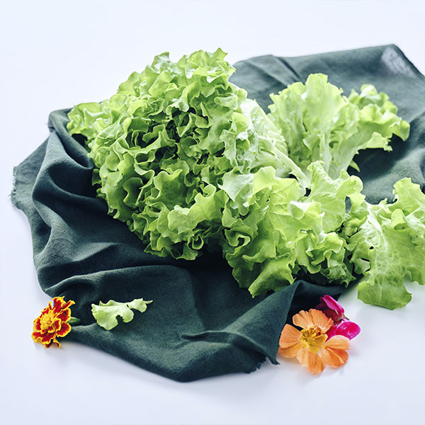 무농약 이자벨(120g 내외)