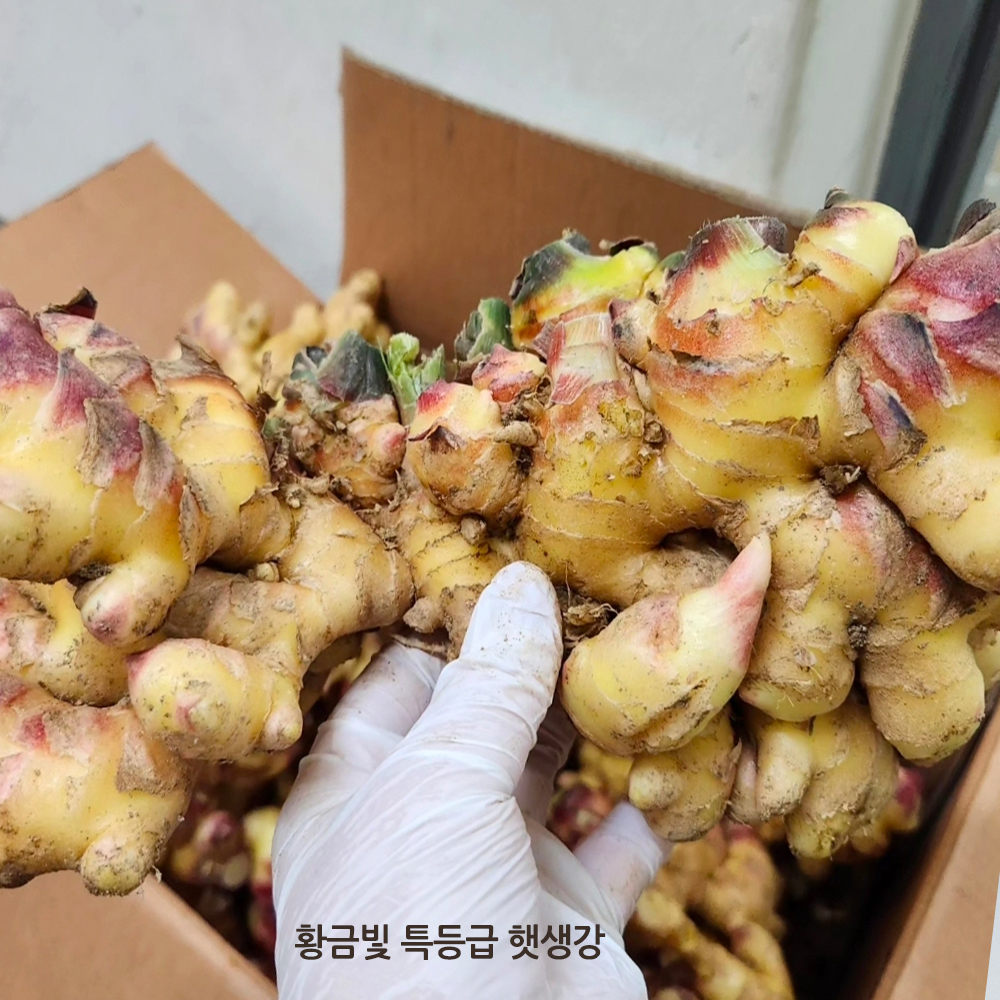 안동생강진액 250ml