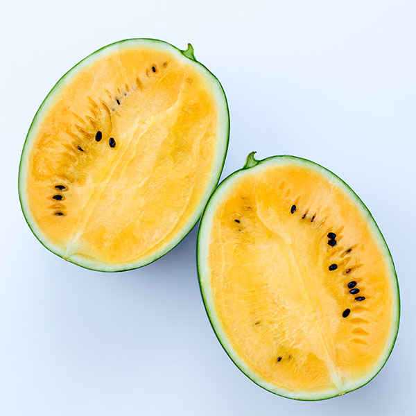 GAP 밀양 망고수박(1통/3kg)