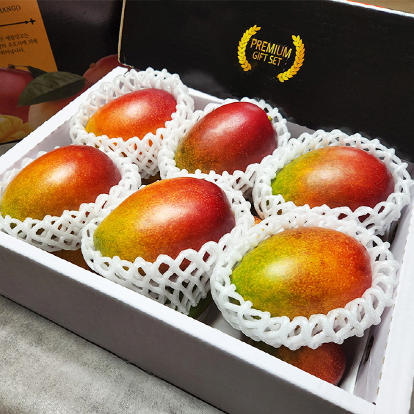달콤한 제주 애플망고 (선물용, 중량선택, 제주직송)