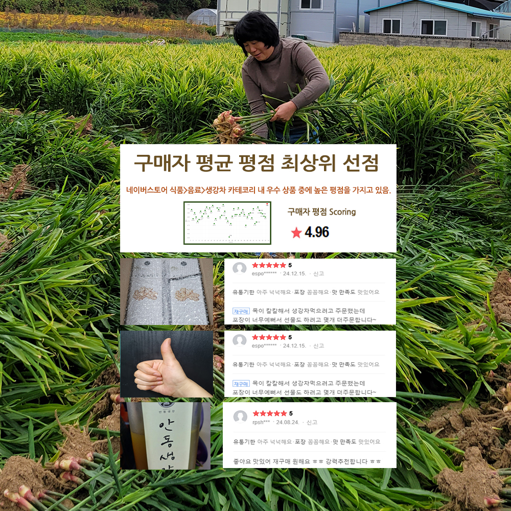 안동반가 안동생강진액 4종 선물세트(생강진액2병+편강 2병)