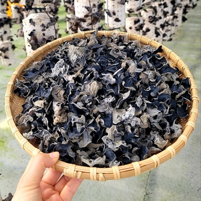남도해풍 건목이버섯 80g, 160g 2종 대표이미지 섬네일