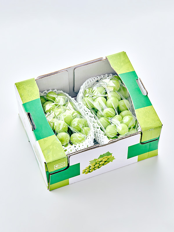 GAP 샤인머스캣(1.5kg/2-3수)