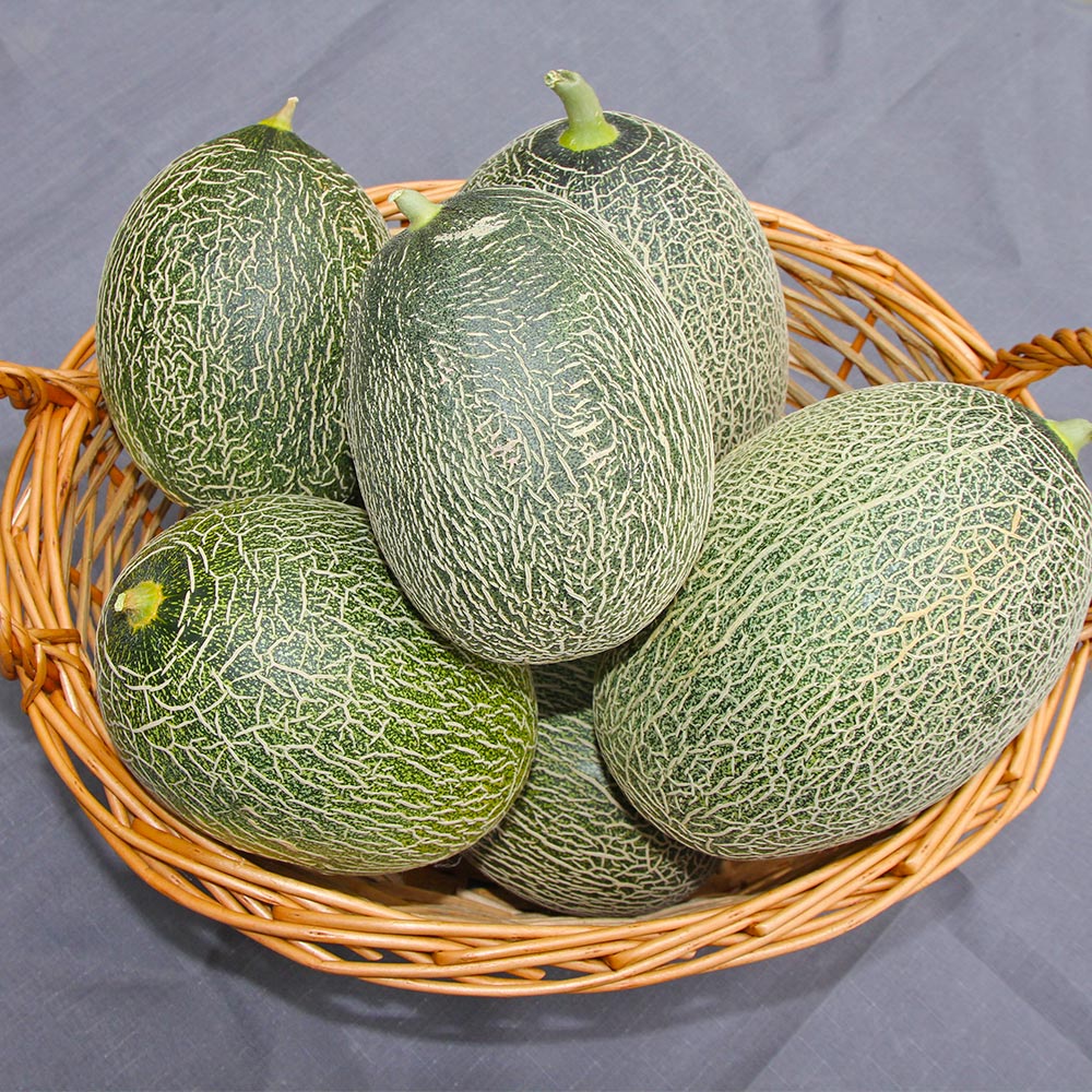 아삭한 하미과 메론(수박메론) 5kg 2-7수