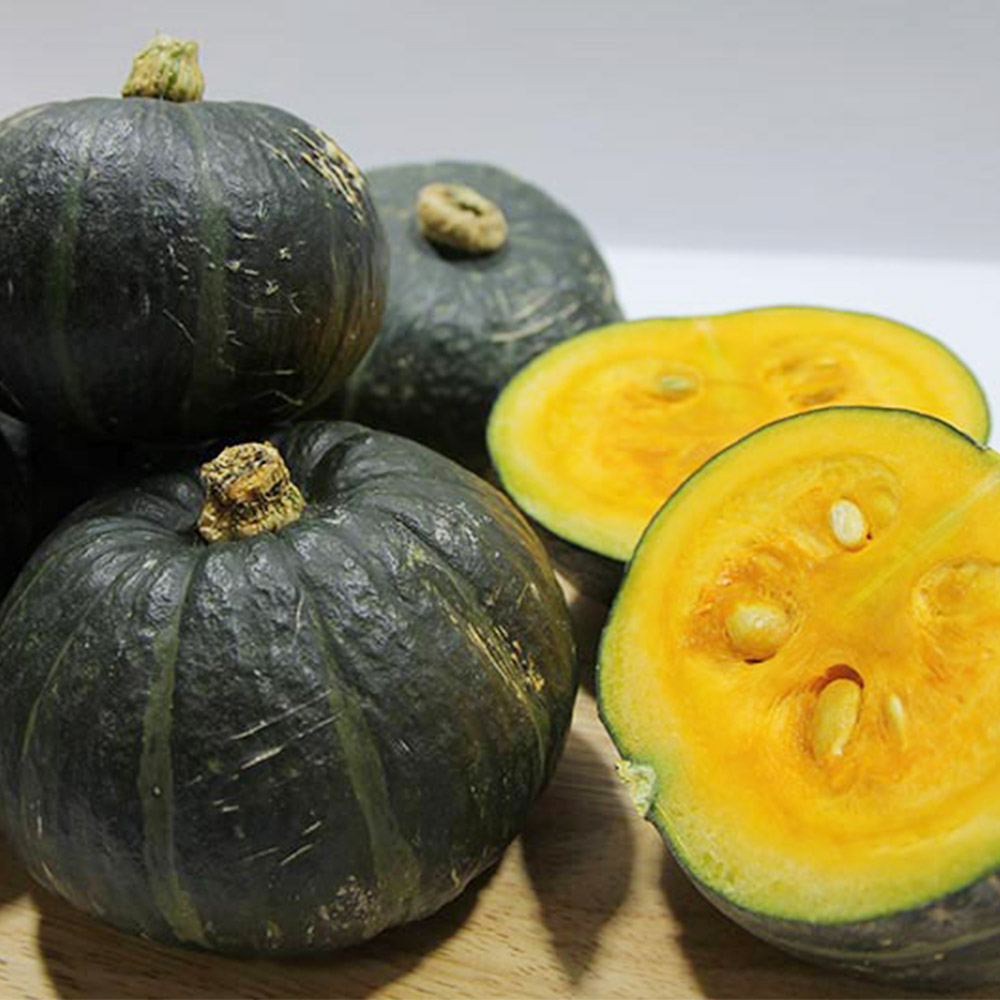남해 미니밤호박 2kg, 4kg, 10kg /옵션선택/