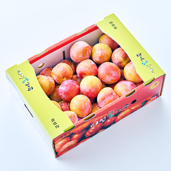 GAP 후무사 자두(왕특/5kg)
