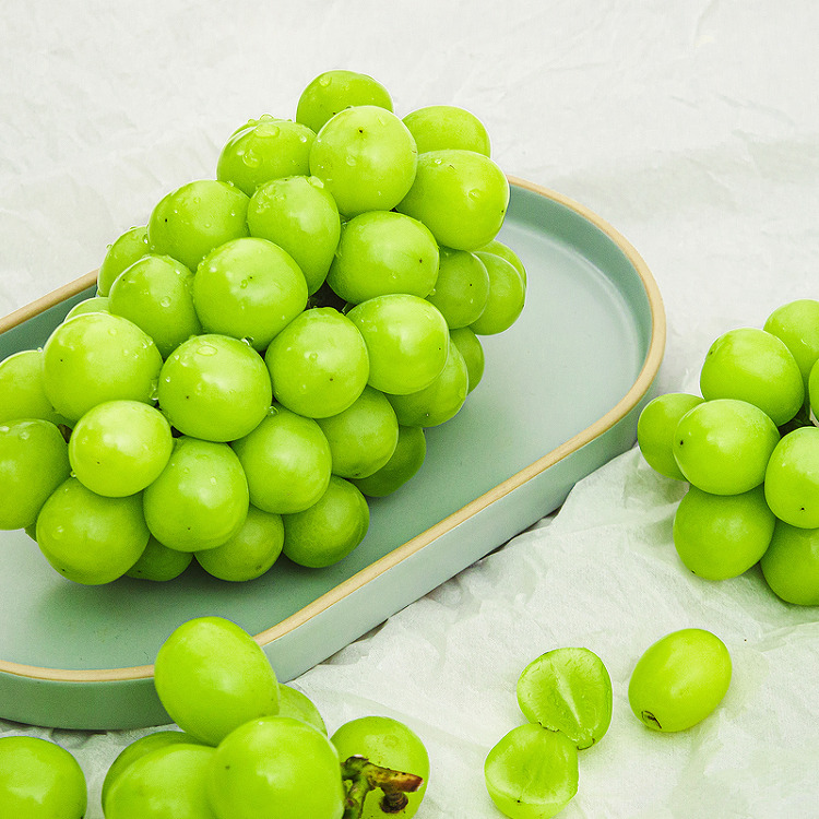 상큼톡톡 망고포도 샤인머스켓 1kg 1-2수 2kg 2-4수