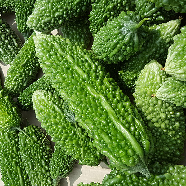 감성영농 경남 의령 생 여주 1kg, 3kg, 5kg, 10kg /옵션선택/