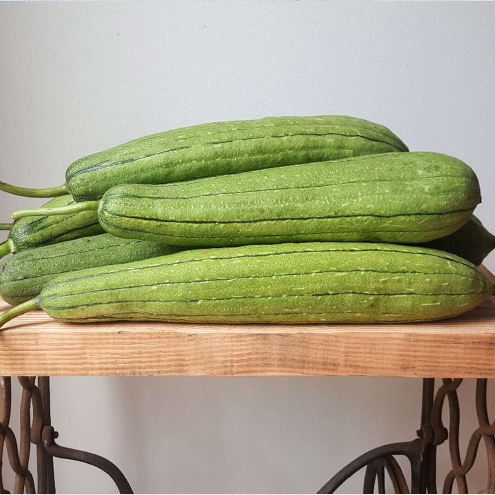 감성영농 국내산 생과 수세미 5kg, 10kg /옵션선택 대표이미지 섬네일