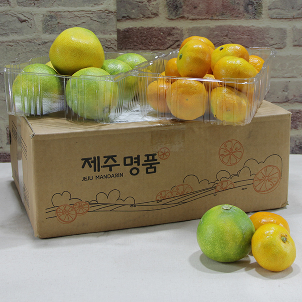 [대진작목반]제주 감귤 1.5kg(2s-m) + 황금향 1.5kg(6-10과)