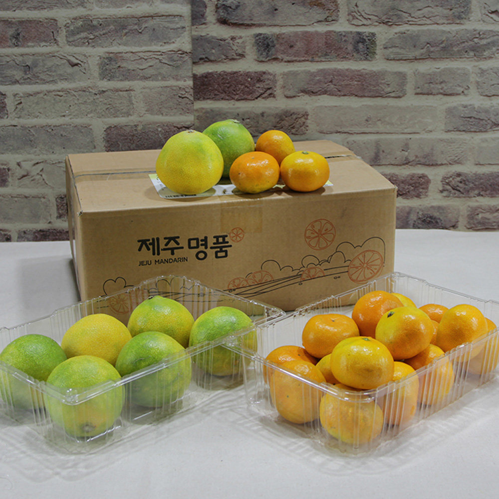 [대진작목반]제주 감귤 1.5kg(2s-m) + 황금향 1.5kg(6-10과)