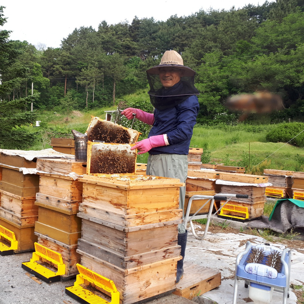 [무료배송] 청정 무주 고재영 숙성벌꿀 선물세트 2kg
