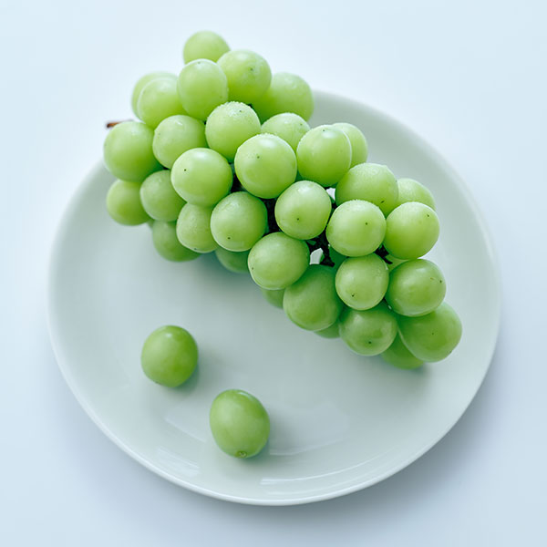 GAP 상주 고랭지 샤인머스캣(500g)