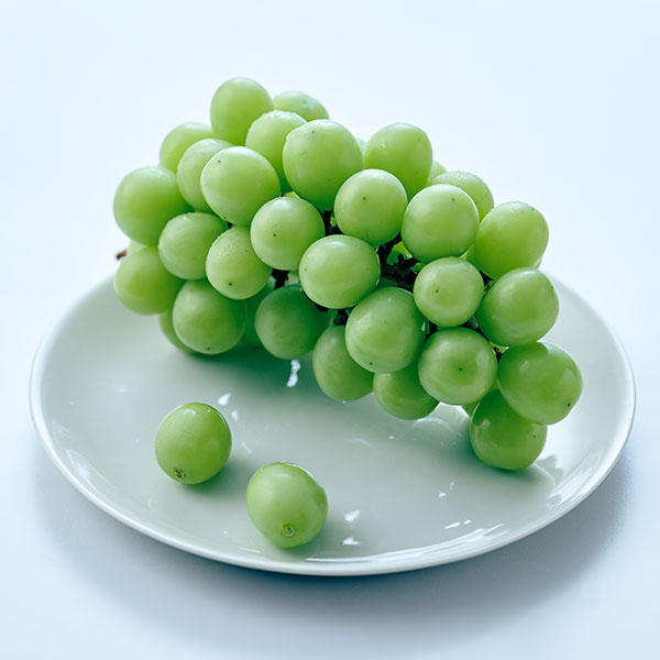 GAP 상주 고랭지 샤인머스캣(500g)