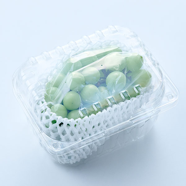GAP 상주 고랭지 샤인머스캣(500g)