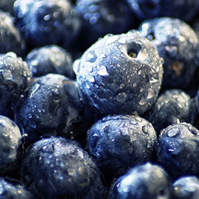 늘해랑 해남 블루베리 생과 2kg 4kg