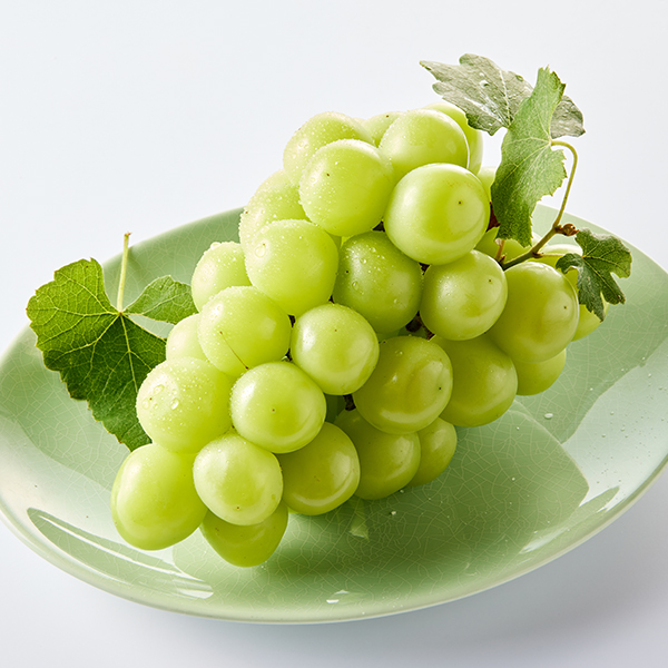 저탄소 샤인머스캣(500g) 대표이미지 섬네일