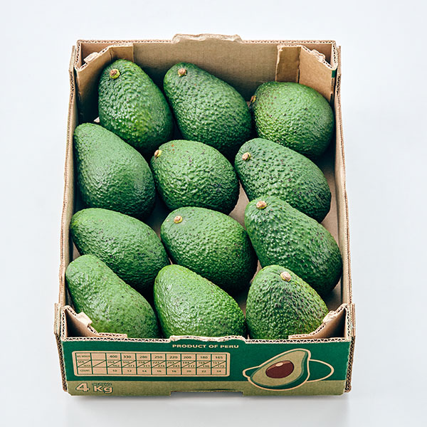 [오아시스직수입] 특상품 아보카도(특대과/4kg/12과)