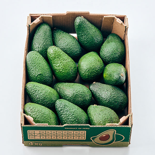 [오아시스직수입] 특품 아보카도(특과/4kg/14과)