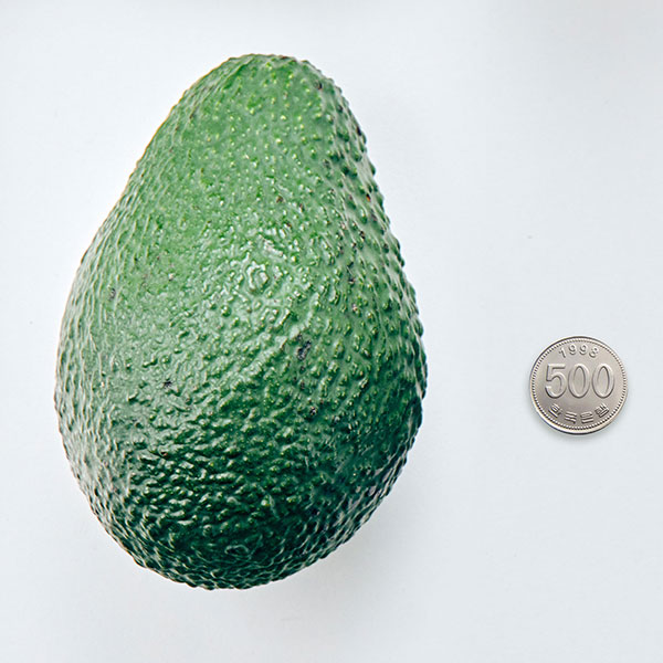 [오아시스직수입] 특품 아보카도(특과/4kg/14과)