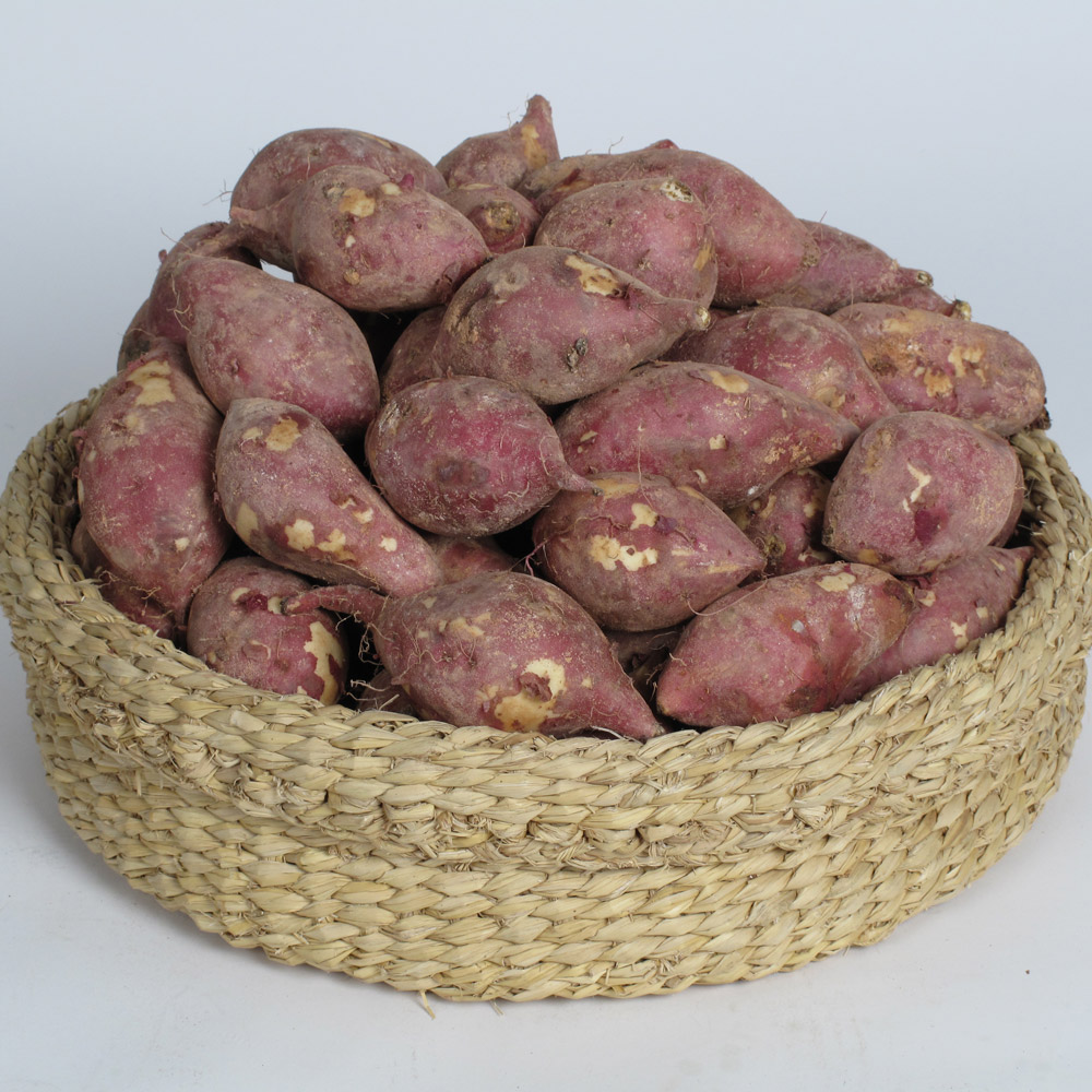 지리산 산청 밤고구마 3kg(무선별)