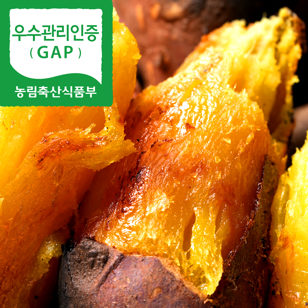 [2022 햇고구마]해남 꿀고구마 베니하루카 3kg(한입/중/특상)