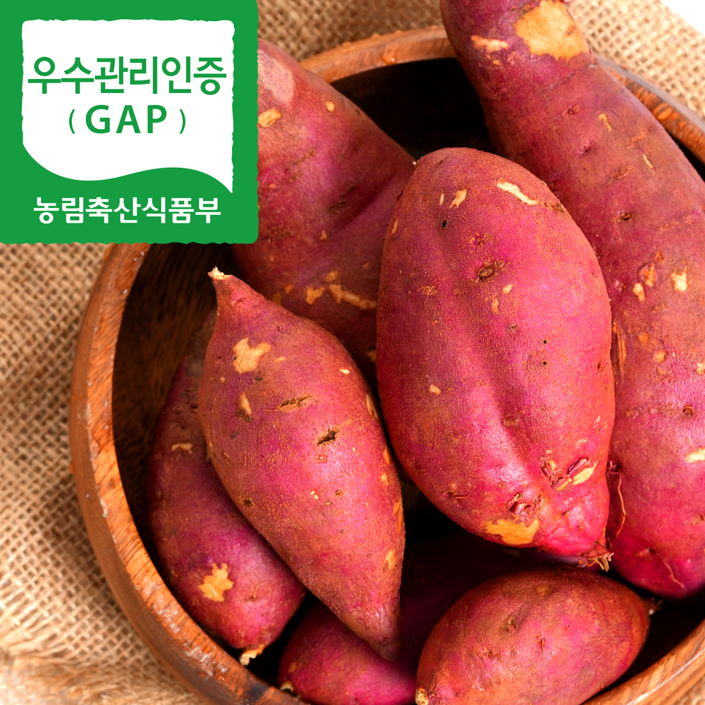 [2022 햇고구마]해남 꿀고구마 베니하루카 3kg(한입/중/특상)