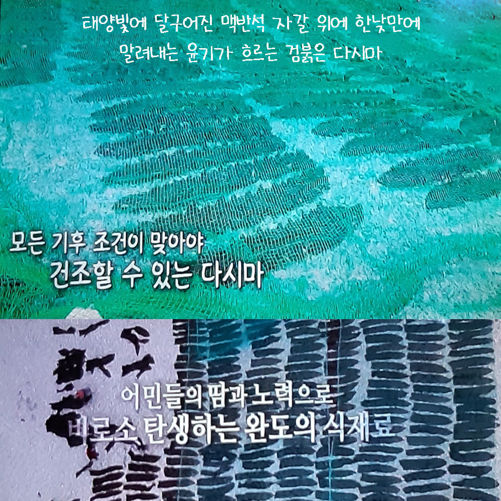 다시마뿌리 꼭지만 5cm 똑, 100g 1+1+1
