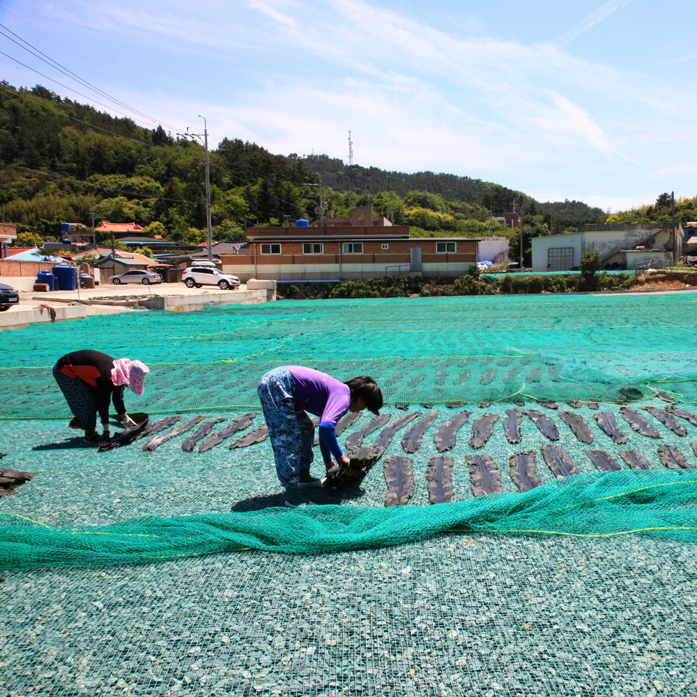 다시마뿌리 꼭지만 5cm 똑, 100g 1+1+1