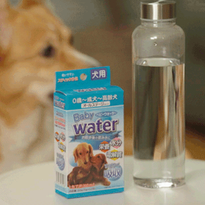 코모 반려견 전용전해질 이온음료 베이비 워터 대표이미지 섬네일