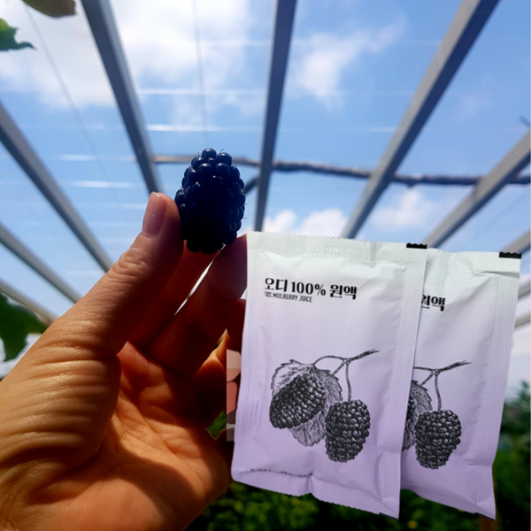 오디즙 오디원액 착즙 액기스 100ml 30팩