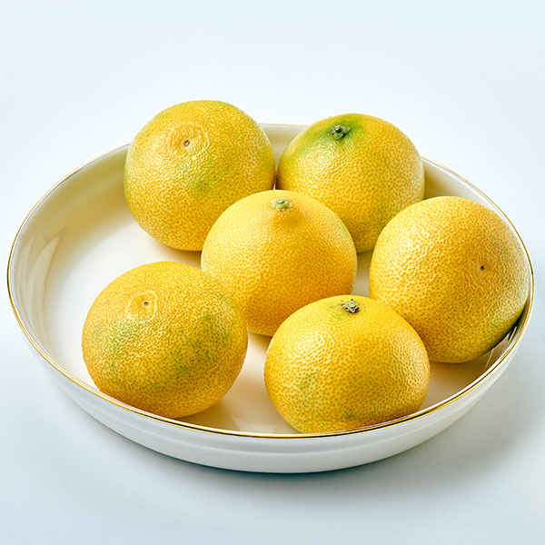 저탄소 황금향(5-8입/1kg) 대표이미지 섬네일