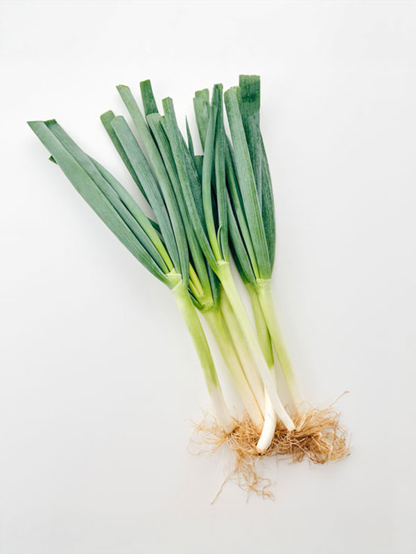 국내산 흙대파 (750g)