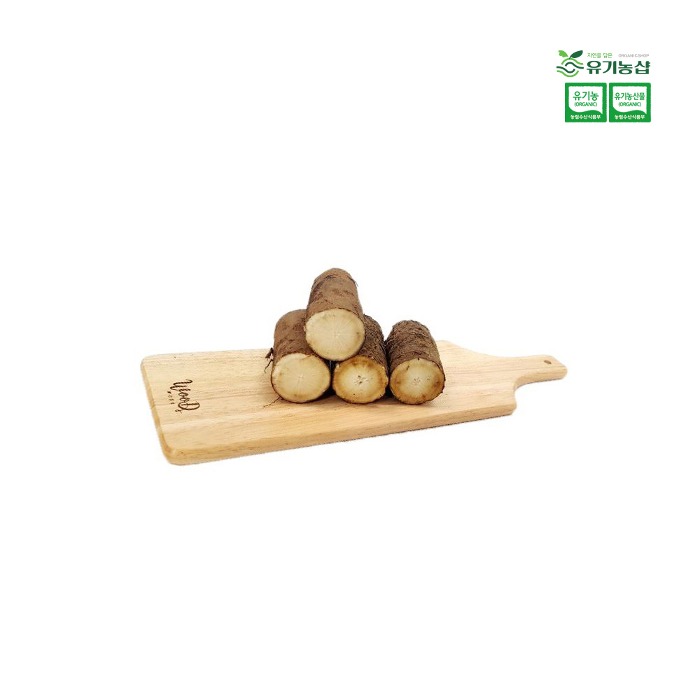 [초록한입] 국내산 유기농 통우엉(생물) 500g + 건강즙 증정