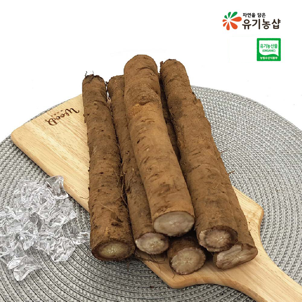[초록한입] 국내산 유기농 통우엉(생물) 500g + 건강즙 증정