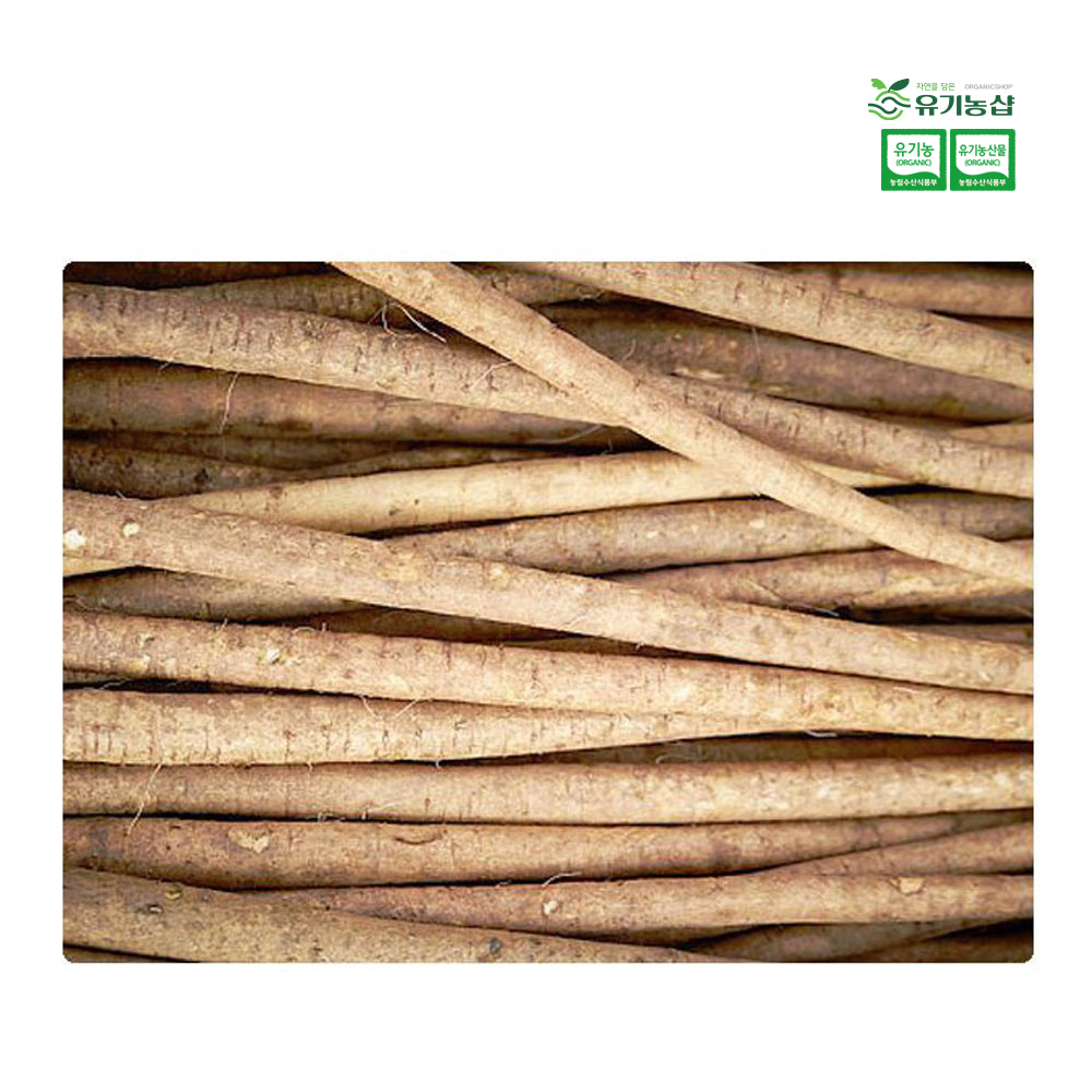 [초록한입] 국내산 유기농 통우엉(생물) 500g + 건강즙 증정
