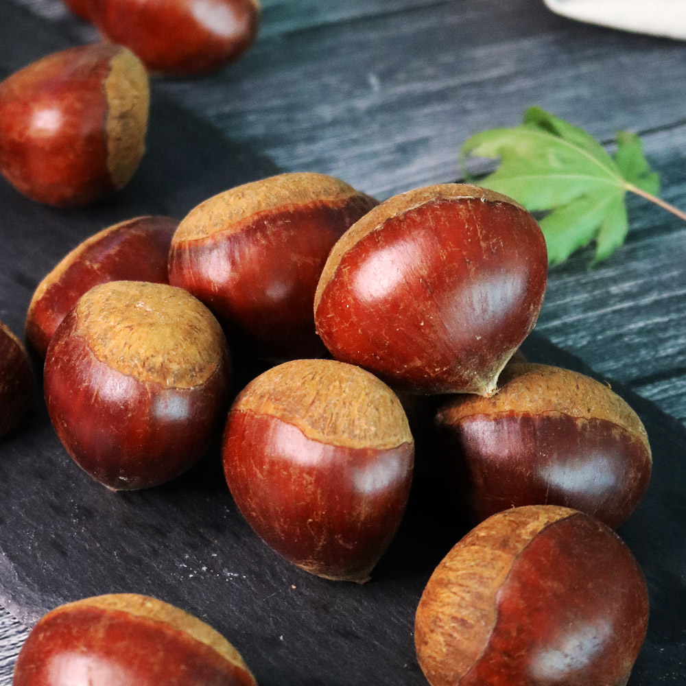 광양 백운산 알밤 2kg 3kg